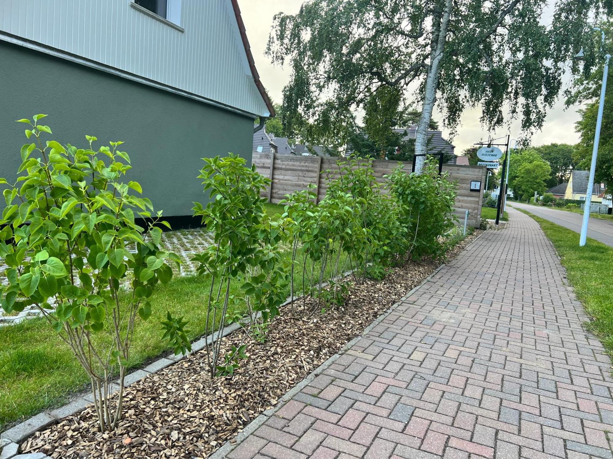 Villa Wiesenau Prerow Exteriör bild
